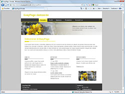 EasyPage - 1. demo - standard CMS-hjemmeside